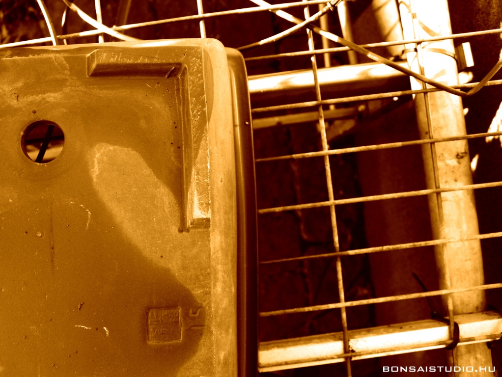 marczika bonsai kerteszet erd hungary bonsai studio